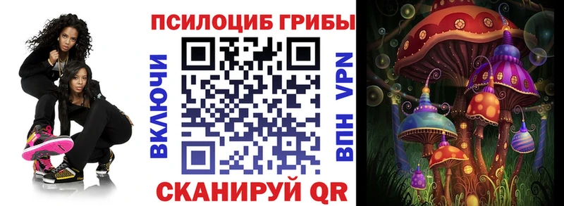 KRAKEN ТОР  Снежногорск  Псилоцибиновые грибы Cubensis  купить наркотики цена 
