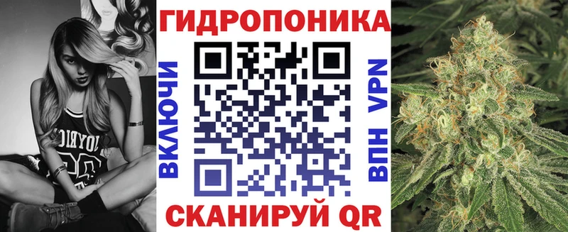 Бошки марихуана план  хочу наркоту  Снежногорск 